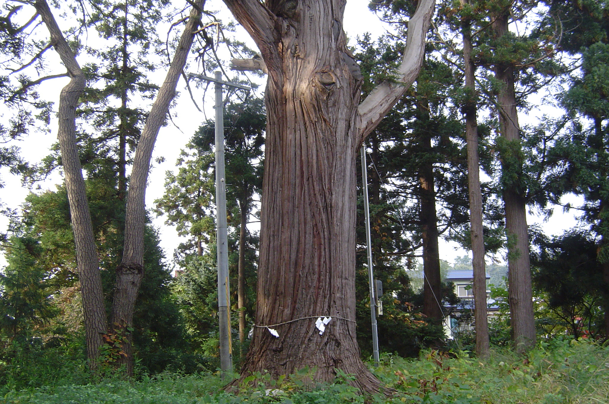 羽黒神社　青森市浪岡