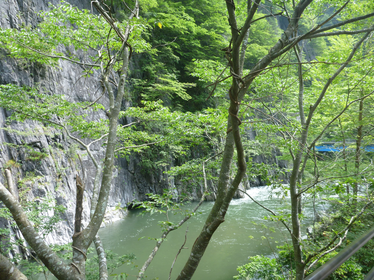 2014年08月24日　久慈渓流・野田村愛宕神社例大祭