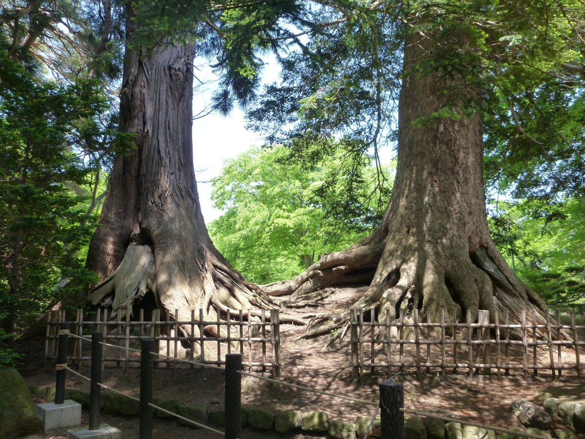 神明宮　七戸町字町