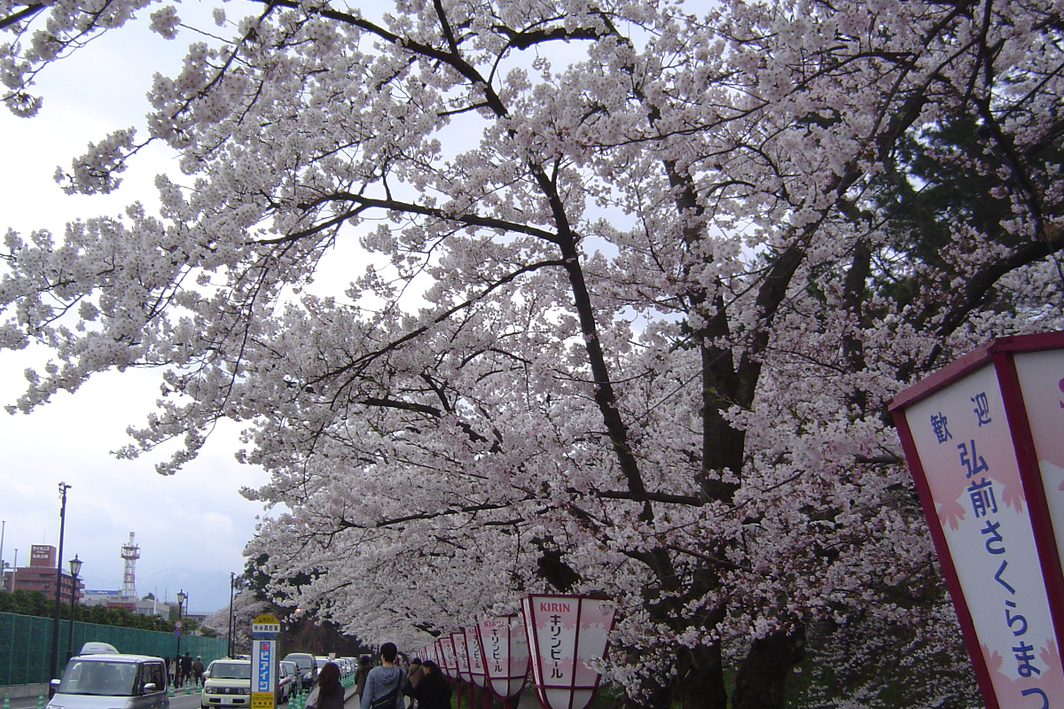 弘前さくらまつり　2011年4月30日